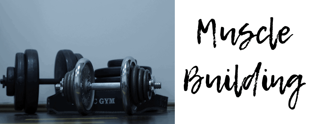 Muscle Building